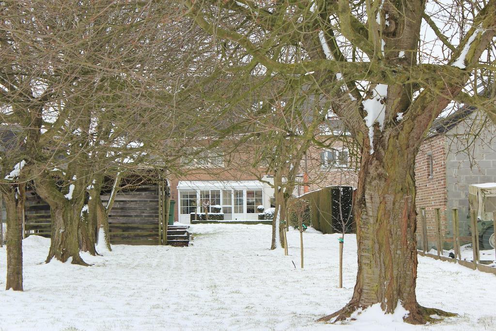 B&B Den Boomgaard Moorsel Exterior foto
