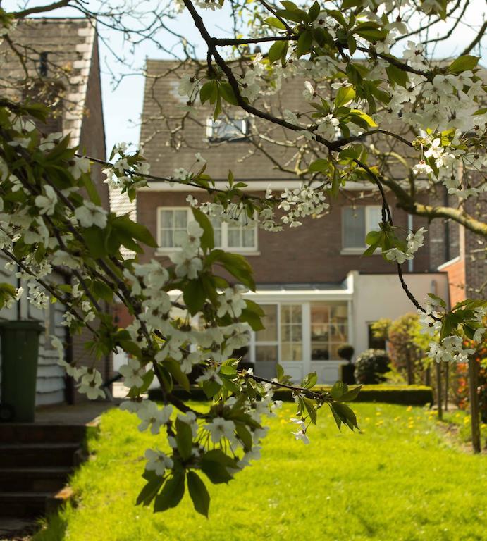 B&B Den Boomgaard Moorsel Exterior foto